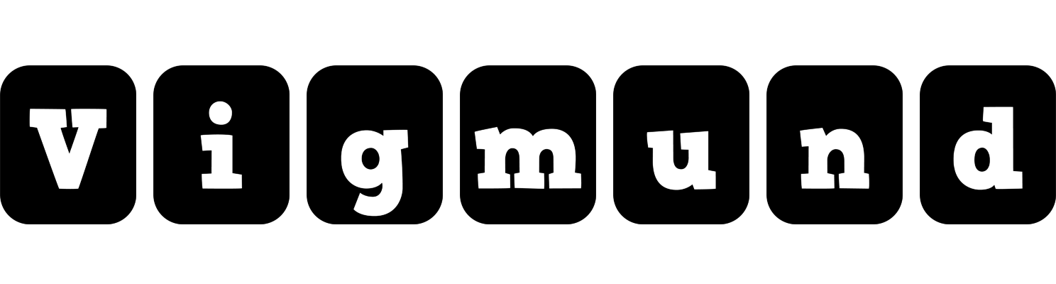Vigmund box logo