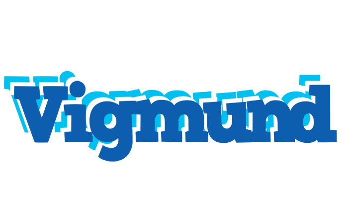 Vigmund business logo