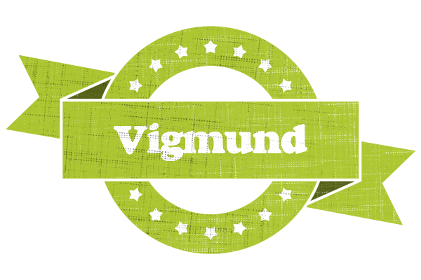 Vigmund change logo