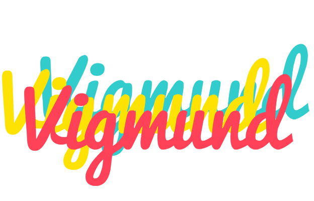 Vigmund disco logo