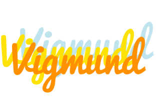 Vigmund energy logo