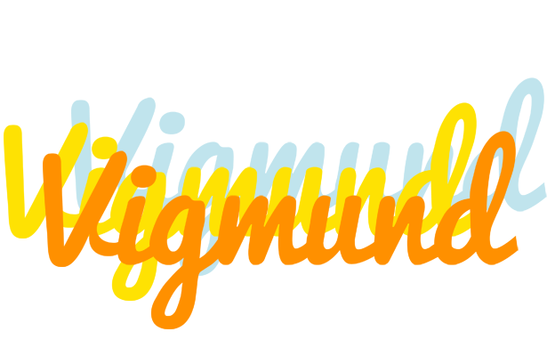 Vigmund energy logo