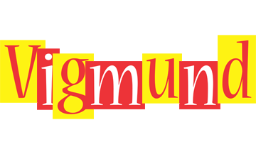 Vigmund errors logo