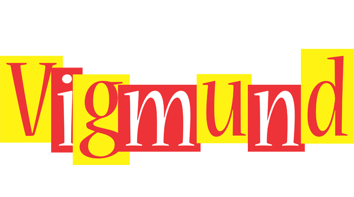Vigmund errors logo