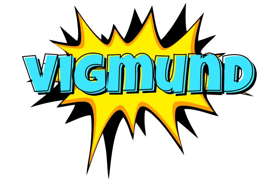 Vigmund indycar logo