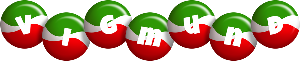 Vigmund italy logo