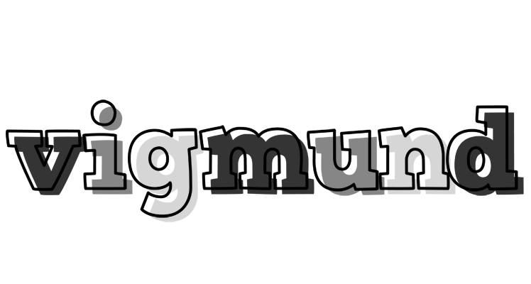 Vigmund night logo