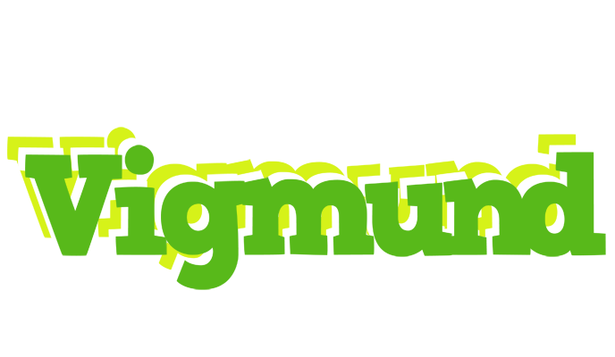 Vigmund picnic logo