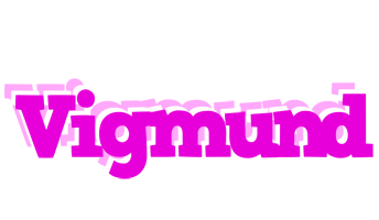 Vigmund rumba logo