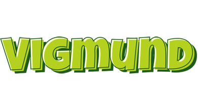 Vigmund summer logo