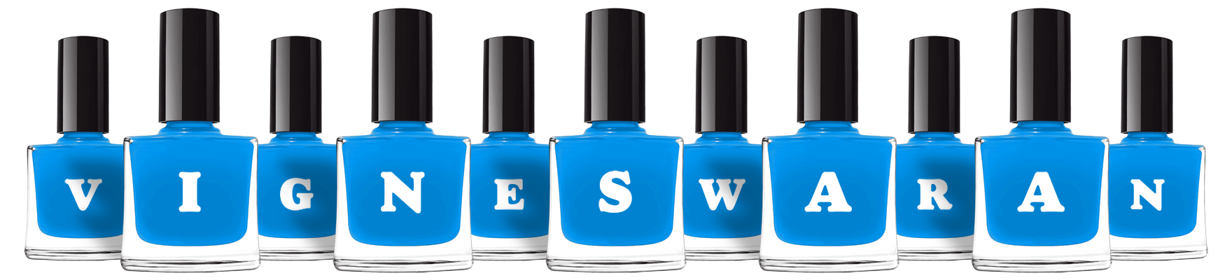 Vigneswaran glossy logo