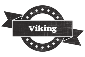 Viking grunge logo