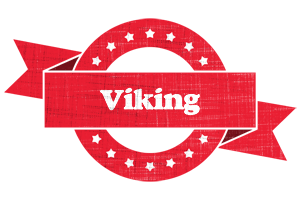Viking passion logo
