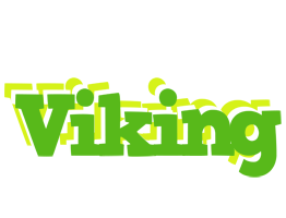 Viking picnic logo
