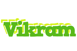 Vikram picnic logo