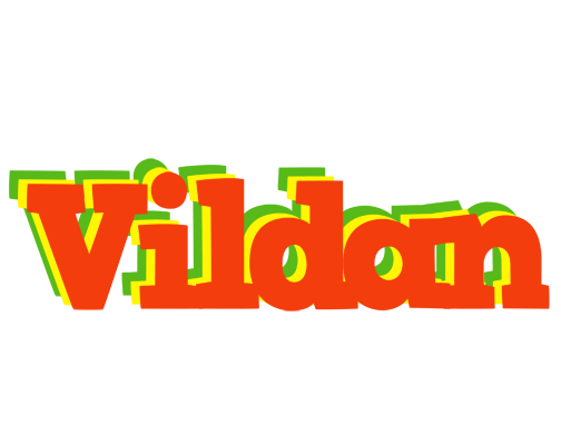 Vildan bbq logo
