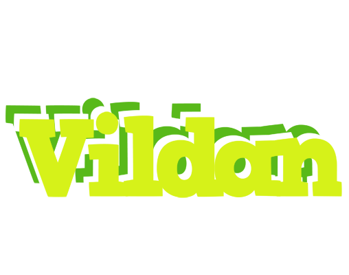 Vildan citrus logo