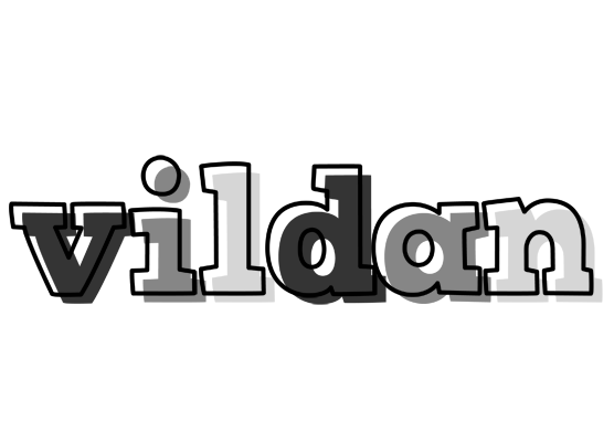 Vildan night logo