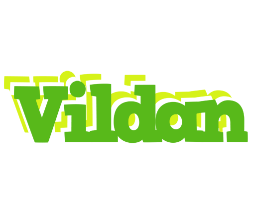 Vildan picnic logo