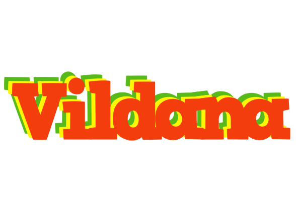 Vildana bbq logo