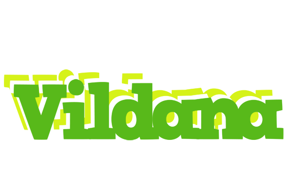 Vildana picnic logo