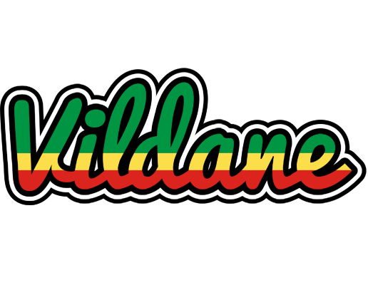 Vildane african logo