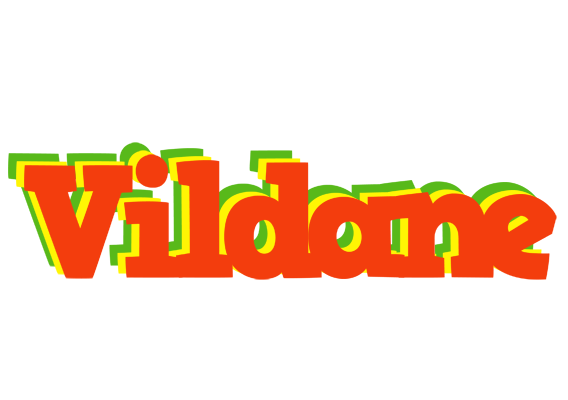 Vildane bbq logo
