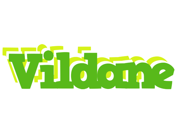 Vildane picnic logo