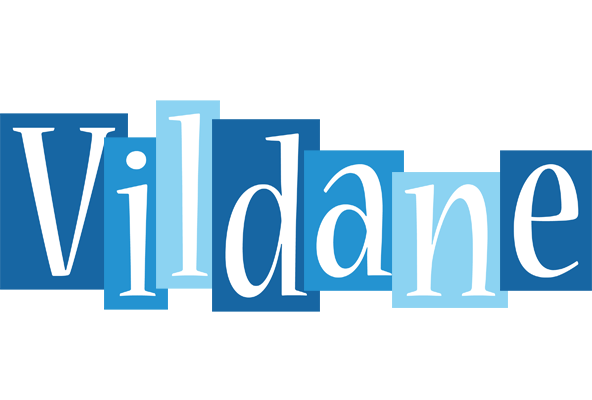 Vildane winter logo