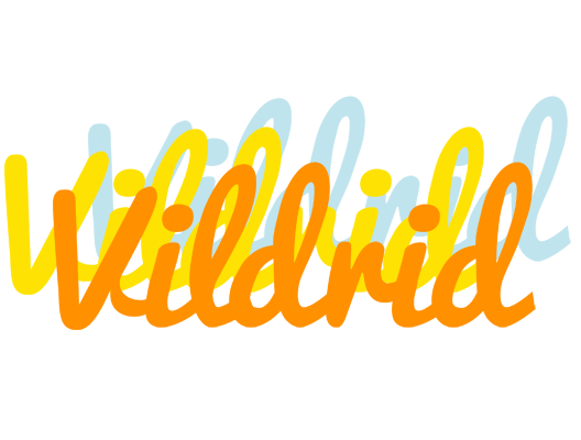 Vildrid energy logo