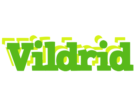 Vildrid picnic logo