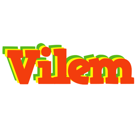 Vilem bbq logo