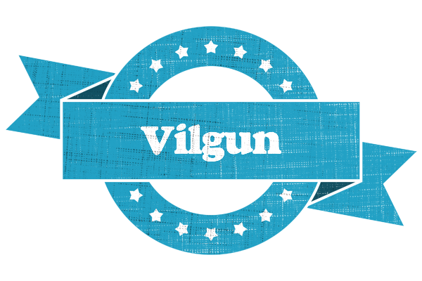 Vilgun balance logo