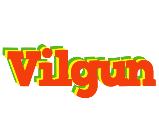 Vilgun bbq logo