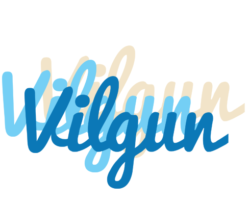 Vilgun breeze logo