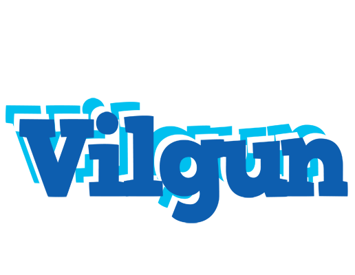 Vilgun business logo
