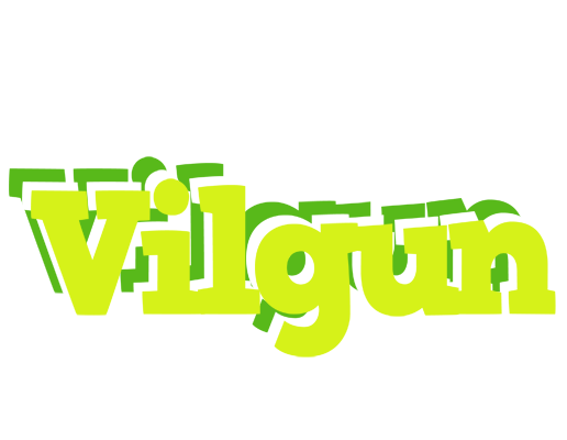 Vilgun citrus logo