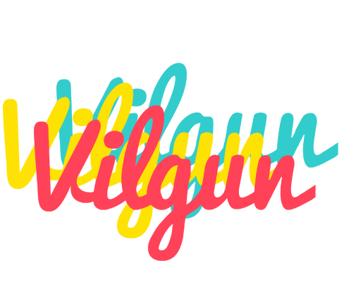 Vilgun disco logo