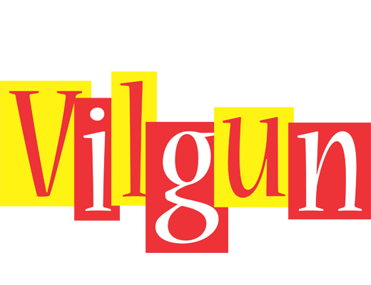 Vilgun errors logo