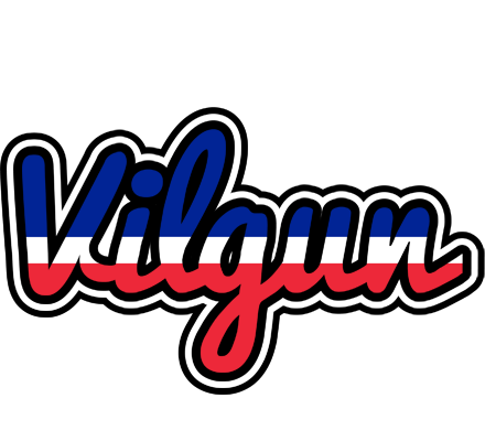 Vilgun france logo