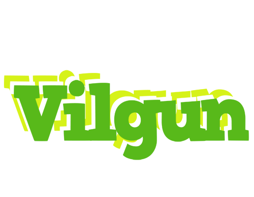 Vilgun picnic logo