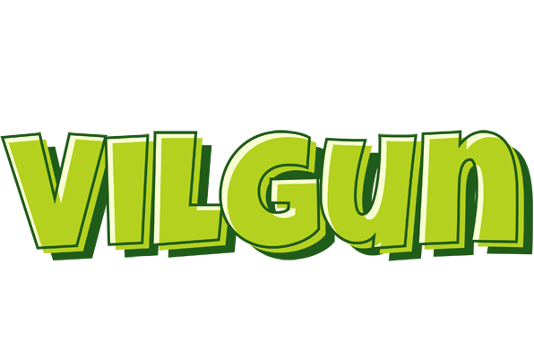 Vilgun summer logo
