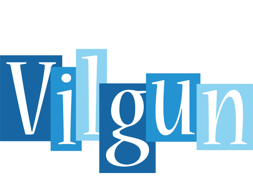 Vilgun winter logo