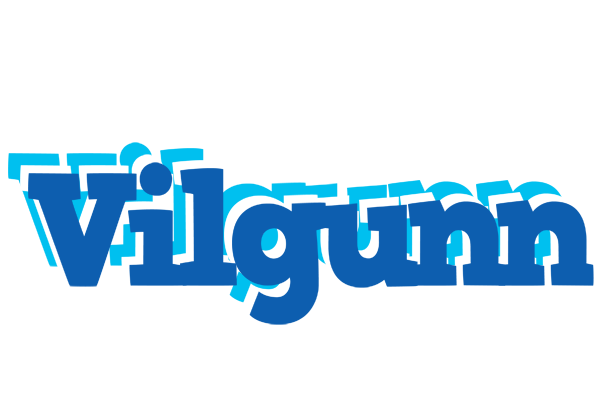 Vilgunn business logo
