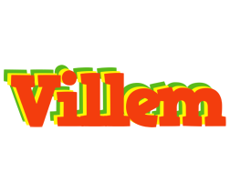 Villem bbq logo