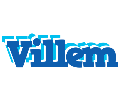 Villem business logo