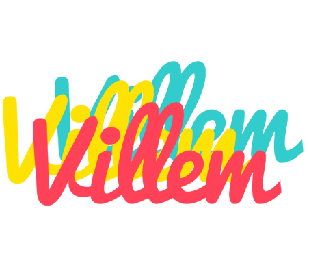 Villem disco logo