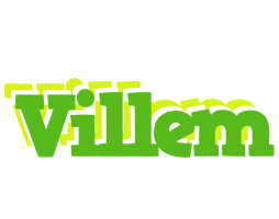 Villem picnic logo