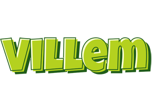 Villem summer logo