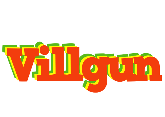 Villgun bbq logo